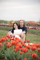 Eng Tulips